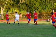 Enlarge photo 295