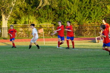 Enlarge photo 296