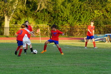 Enlarge photo 301