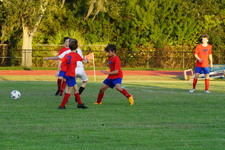 Enlarge photo 302