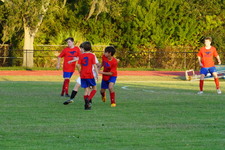 Enlarge photo 303