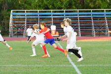 Enlarge photo 307