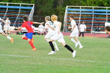Enlarge photo 309