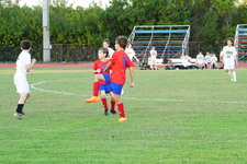 Enlarge photo 312
