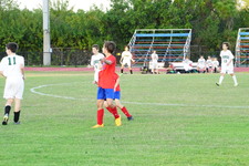 Enlarge photo 313