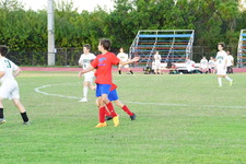 Enlarge photo 315