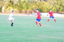 Enlarge photo 316