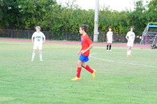 Enlarge photo 318
