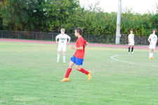 Enlarge photo 319