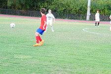 Enlarge photo 321