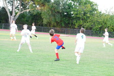 Enlarge photo 325