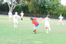Enlarge photo 329