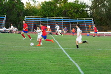 Enlarge photo 333