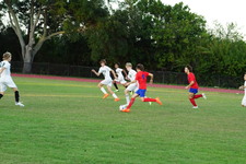 Enlarge photo 337