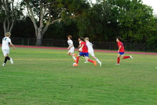 Enlarge photo 336