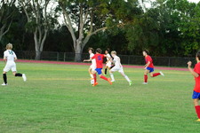 Enlarge photo 339