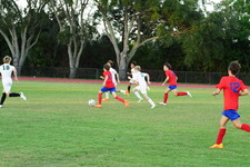 Enlarge photo 338