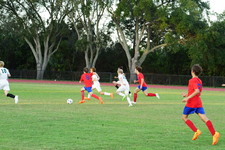 Enlarge photo 340