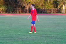 Enlarge photo 357
