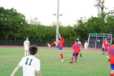 Enlarge photo 371