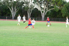 Enlarge photo 373