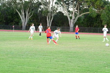 Enlarge photo 374