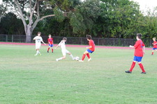 Enlarge photo 376