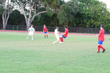 Enlarge photo 377