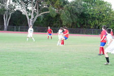 Enlarge photo 378