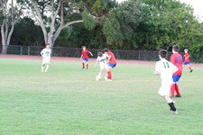 Enlarge photo 379