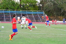 Enlarge photo 383