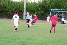 Enlarge photo 384