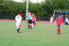 Enlarge photo 385