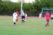 Enlarge photo 386