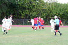 Enlarge photo 389
