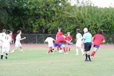 Enlarge photo 390