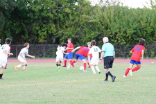Enlarge photo 391