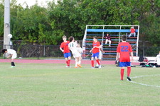 Enlarge photo 393