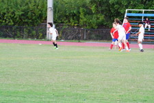 Enlarge photo 395