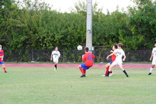 Enlarge photo 394
