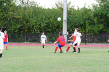 Enlarge photo 396