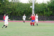 Enlarge photo 399