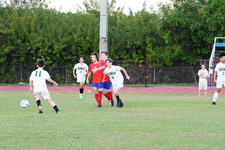 Enlarge photo 402