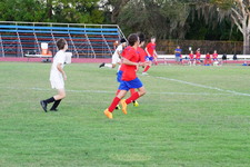 Enlarge photo 408