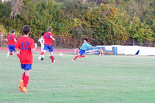 Enlarge photo 410
