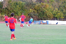 Enlarge photo 409