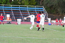 Enlarge photo 422