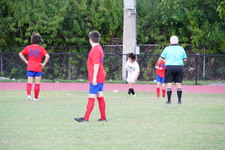 Enlarge photo 438