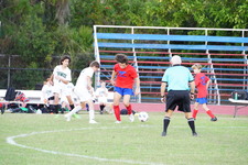 Enlarge photo 439