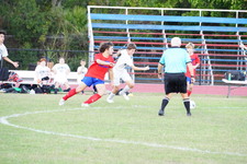 Enlarge photo 442
